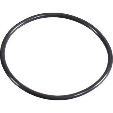 Metzger Dichtring 2430058