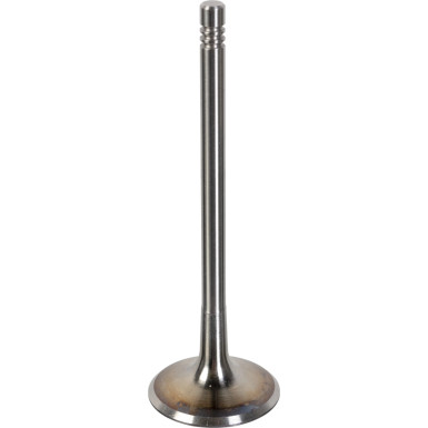 FEBI BILSTEIN 181076 Einlassventil FEBI BILSTEIN 181076 Einlassventil