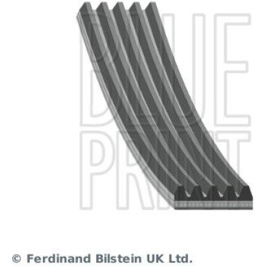 Blue Print Keilrippenriemen AD05R1590