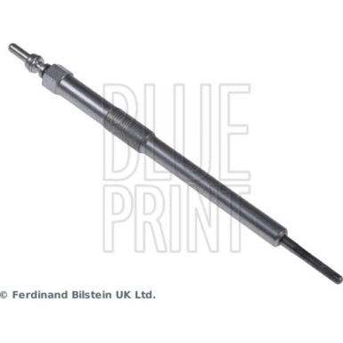 Blue Print Glühkerze ADN11831