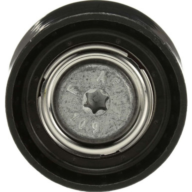 Umlenk-/Führungsrolle, Keilrippenriemen T36486
