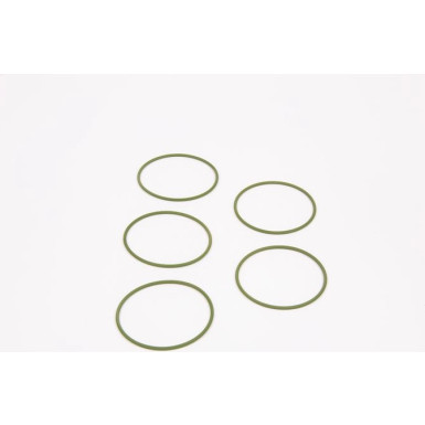 BOSCH Dichtring F 01M 100 048