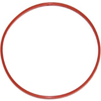 Elring Dichtung, Ansaugkrümmergehäuse 243.500