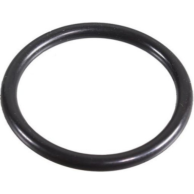 Metzger Dichtring 2430059