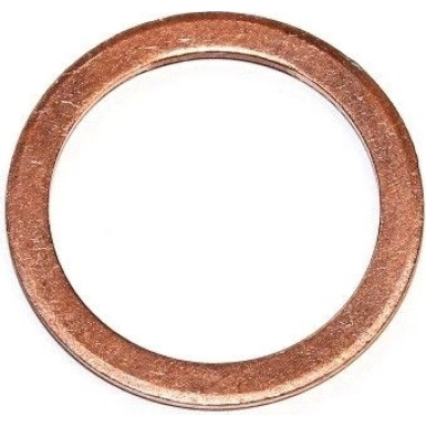 Elring Dichtring 125.105