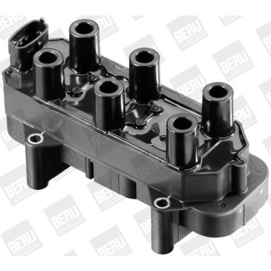 BorgWarner (BERU) Zündspule ZS306