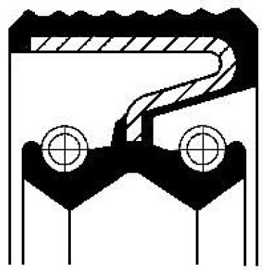 Corteco Dichtring 12012317B