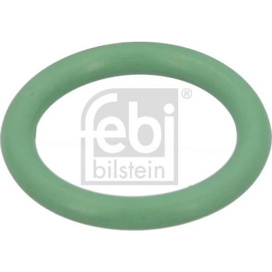 Dichtring 1001690
