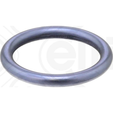 Dichtring 074.870