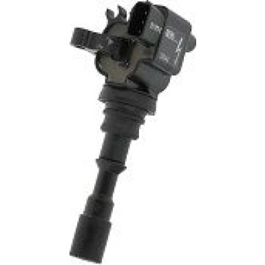 BorgWarner (BERU) Zündspule ZS542