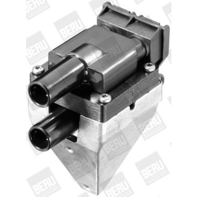 BorgWarner (BERU) Zündspule ZS313
