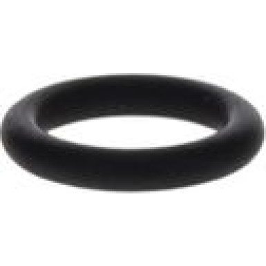 BOSCH Dichtring 1 460 210 301