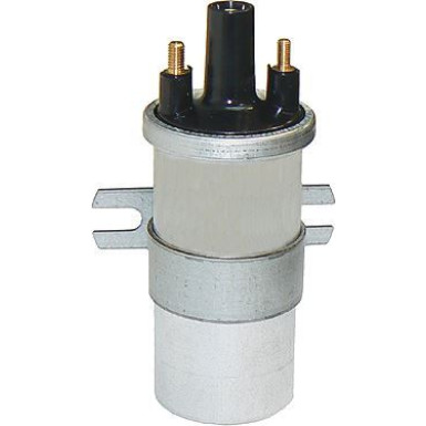 Metzger Zündspule 0880026
