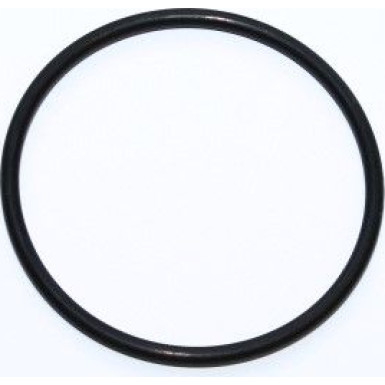 Dichtring 312.207 Dichtring 312.207