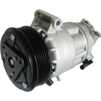Mahle Kompressor, Klimaanlage BEHR ACP 163 000S