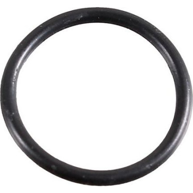 Metzger Dichtring 2430053