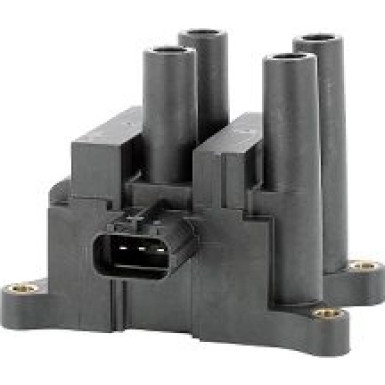 BorgWarner (BERU) Zündspule ZS556