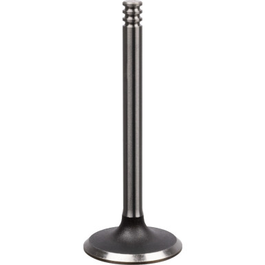 FEBI BILSTEIN 21018 Einlassventil FEBI BILSTEIN 21018 Einlassventil