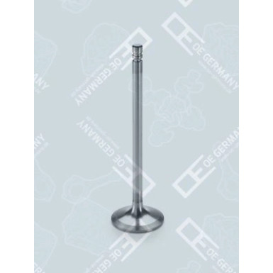 OE Germany Einlassventil 03 0520 TD1000 OE Germany Einlassventil 03 0520 TD1000