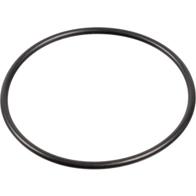 FEBI BILSTEIN 29493 Dichtring