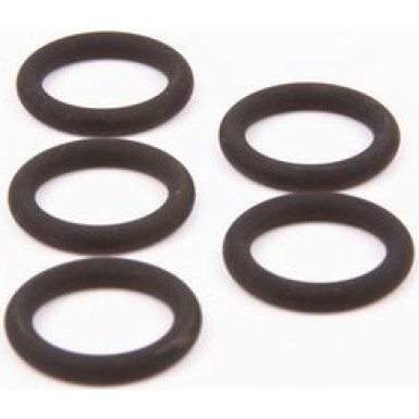 BOSCH Dichtring 2 420 210 037