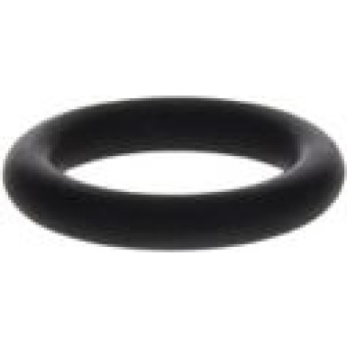 BOSCH Dichtring 1 460 210 301