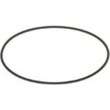 BOSCH Dichtring F 00N 201 204