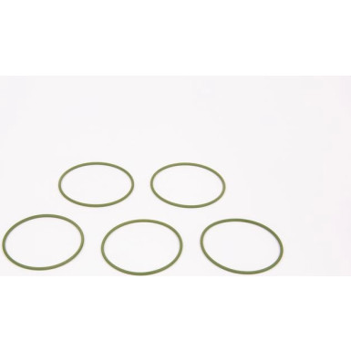 BOSCH Dichtring F 01M 100 048