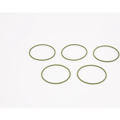 BOSCH Dichtring F 01M 100 048