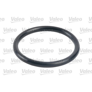 Valeo Kraftstofffilter 587702