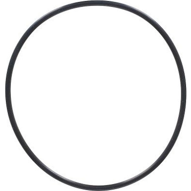 Dichtring 794.570