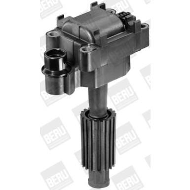 BorgWarner (BERU) Zündspule ZS308