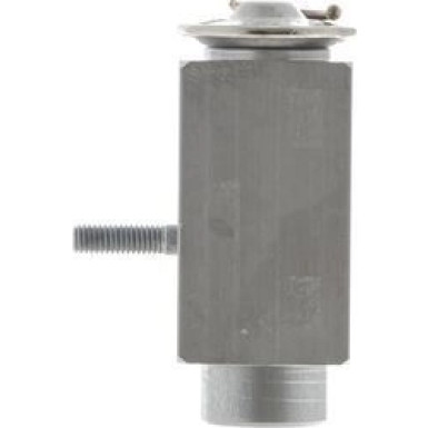 Mahle Expansionsventil, Klimaanlage BEHR Premium Line AVE 89 000P