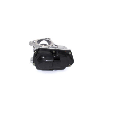 AGR-Ventil 700424 AGR-Ventil 700424