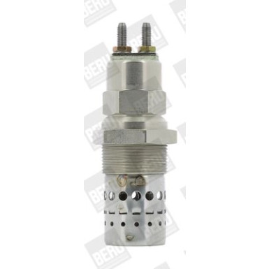 BorgWarner (BERU) Glühkerze GF529