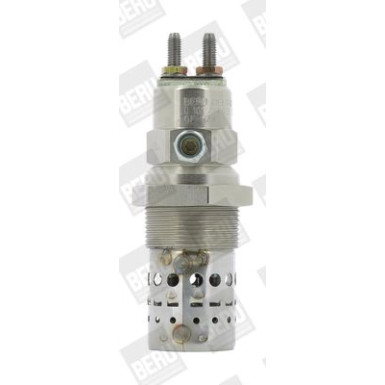 BorgWarner (BERU) Glühkerze GF529