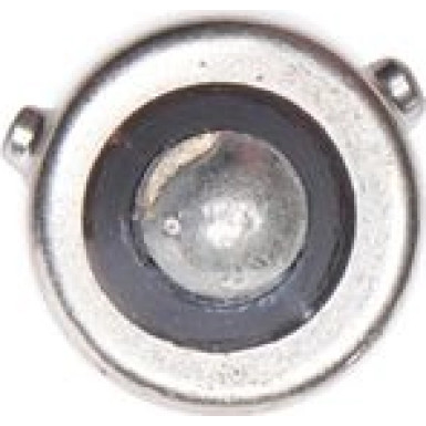 BOSCH Glühlampe Trucklight WS 1 987 302 533