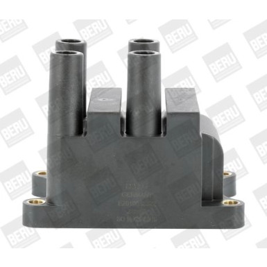 BorgWarner (BERU) Zündspule ZS556