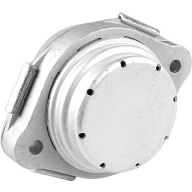 Tedgum Lagerung, Motor 00088521