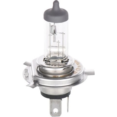 BOSCH Glühlampe, Fernscheinwerfer Plus 50 BL 1 987 301 040
