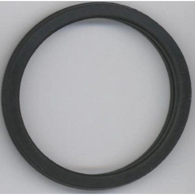 Dichtung, Thermostat 027.450