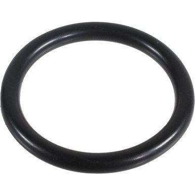 Metzger Dichtring 2430002