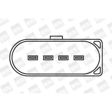 BorgWarner (BERU) Zündspule ZSE009