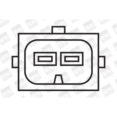 BorgWarner (BERU) Zündspule ZS308