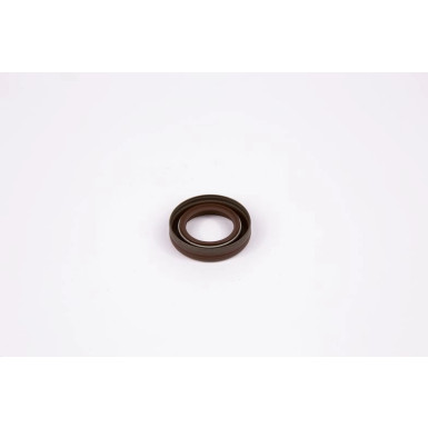 BOSCH Dichtung F 00R 0P0 253