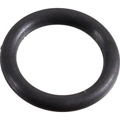 Dichtring 2430124 Dichtring 2430124