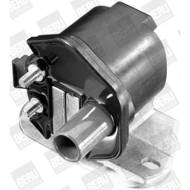 BorgWarner (BERU) Zündspule ZS298