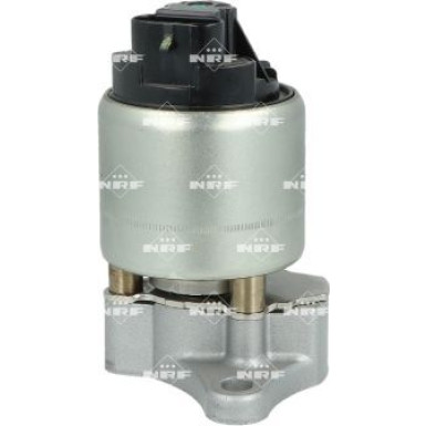 NRF AGR-Ventil 48719