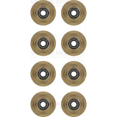 Victor Reinz Dichtungssatz, Ventilschaft 12-31056-01