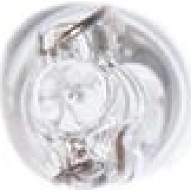 BOSCH Glühlampe Pure Light 1 987 302 218